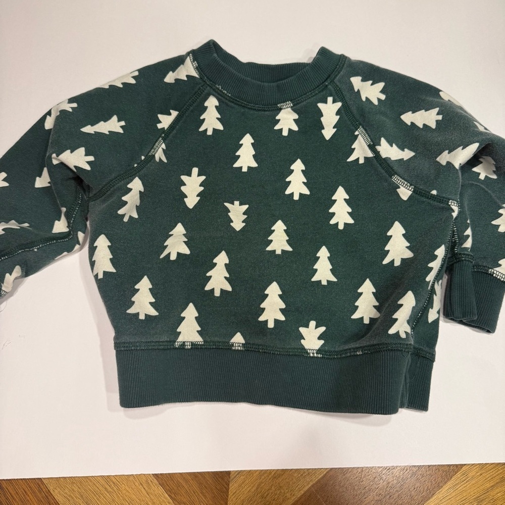 Hanna Andersson Forest Green Sweatshirt flaw